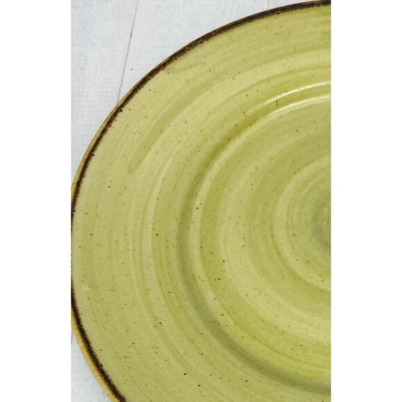 Thomson Pottery Green Swirl Speckle Brown Stoneware Dinner Plate Set of 4 - Picture 13 of 15